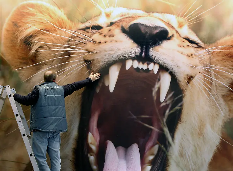 3a9h2041-jpg5298628421930654144