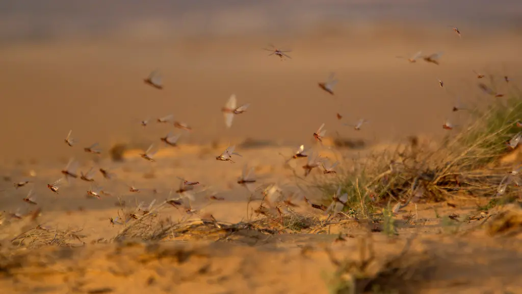 3284CA000764F031-jpg5112513005478206237