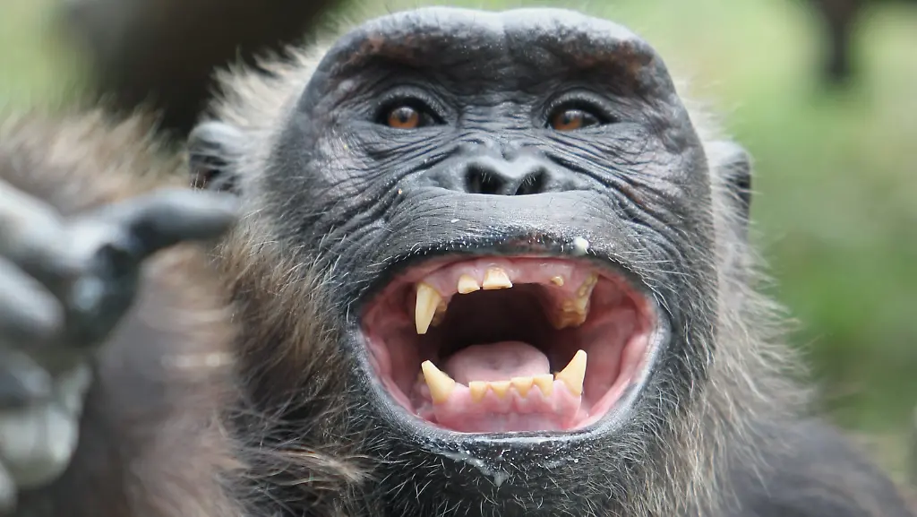 3abo5828-jpg9105961423210439125