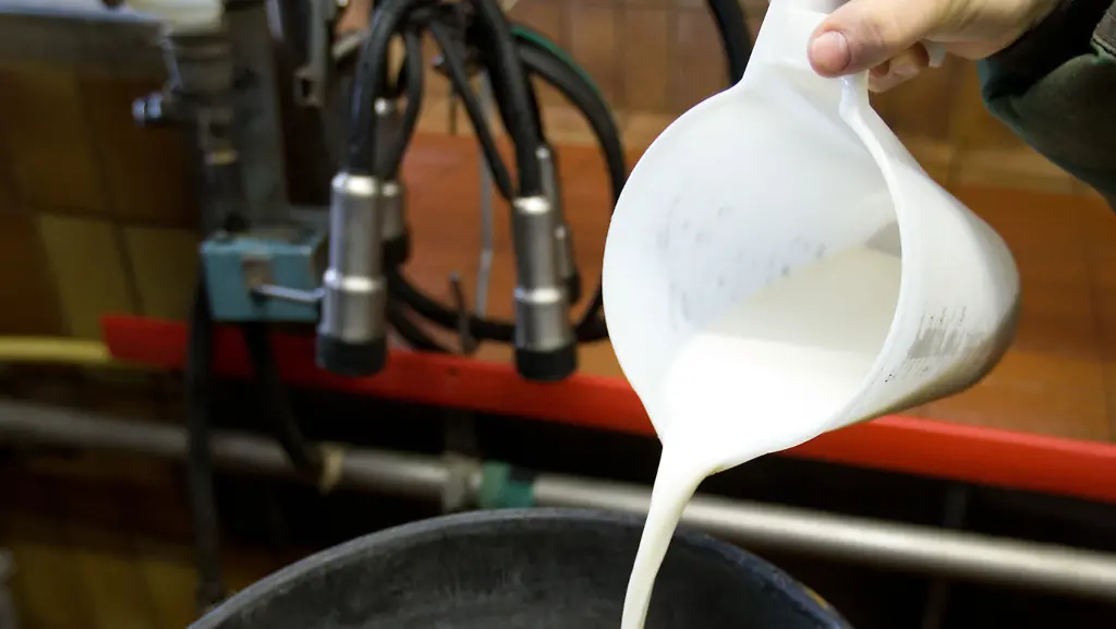 Milch