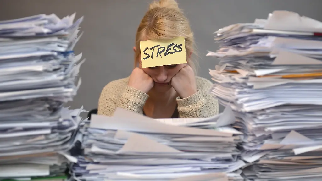 DI30055-20130226-jpg2598260861831484743