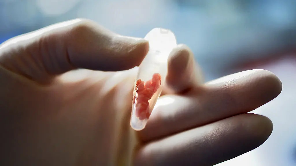 DI10245-20130220-jpg8070025663964058699