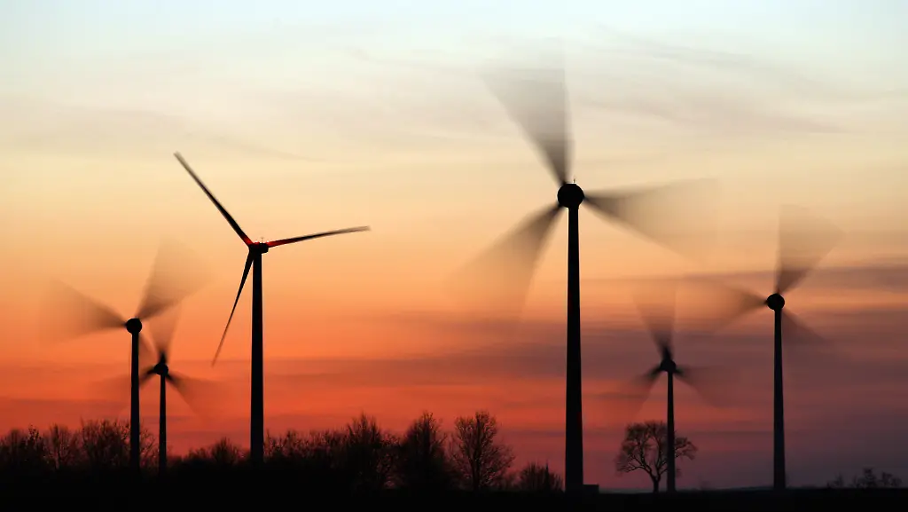 39yt0139-jpg5042836489878869766