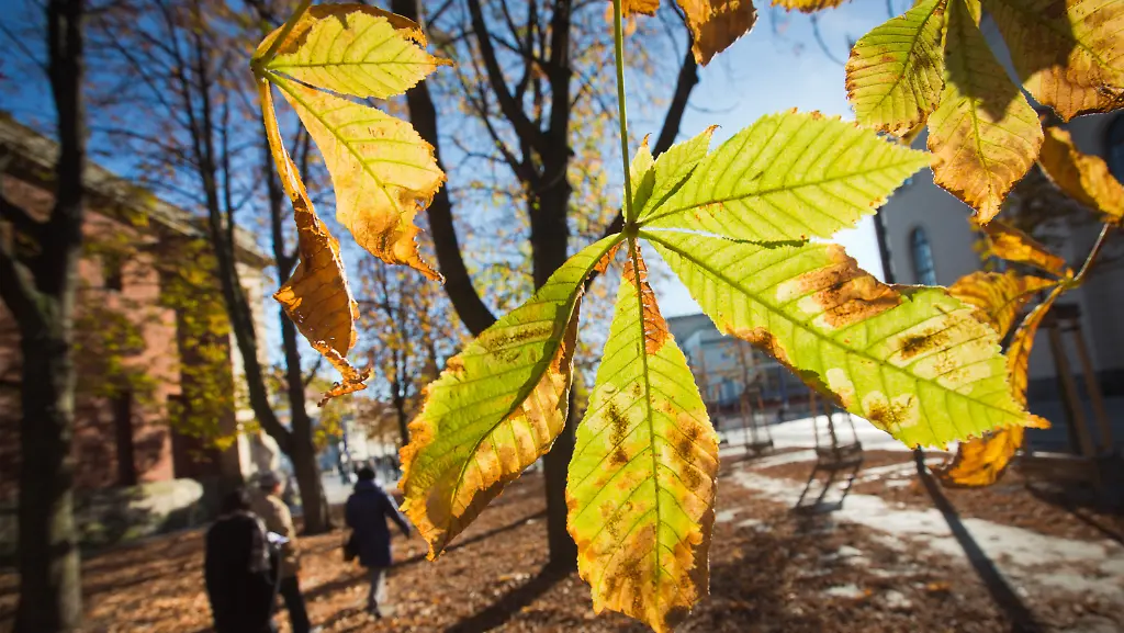 3a1h0129-jpg416148572382012453