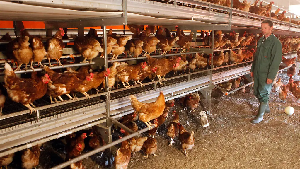 DI10002-20130213-jpg5813819640698879544