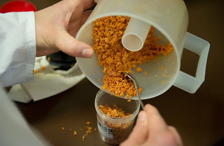 39yd0522-jpg5058851621372356769