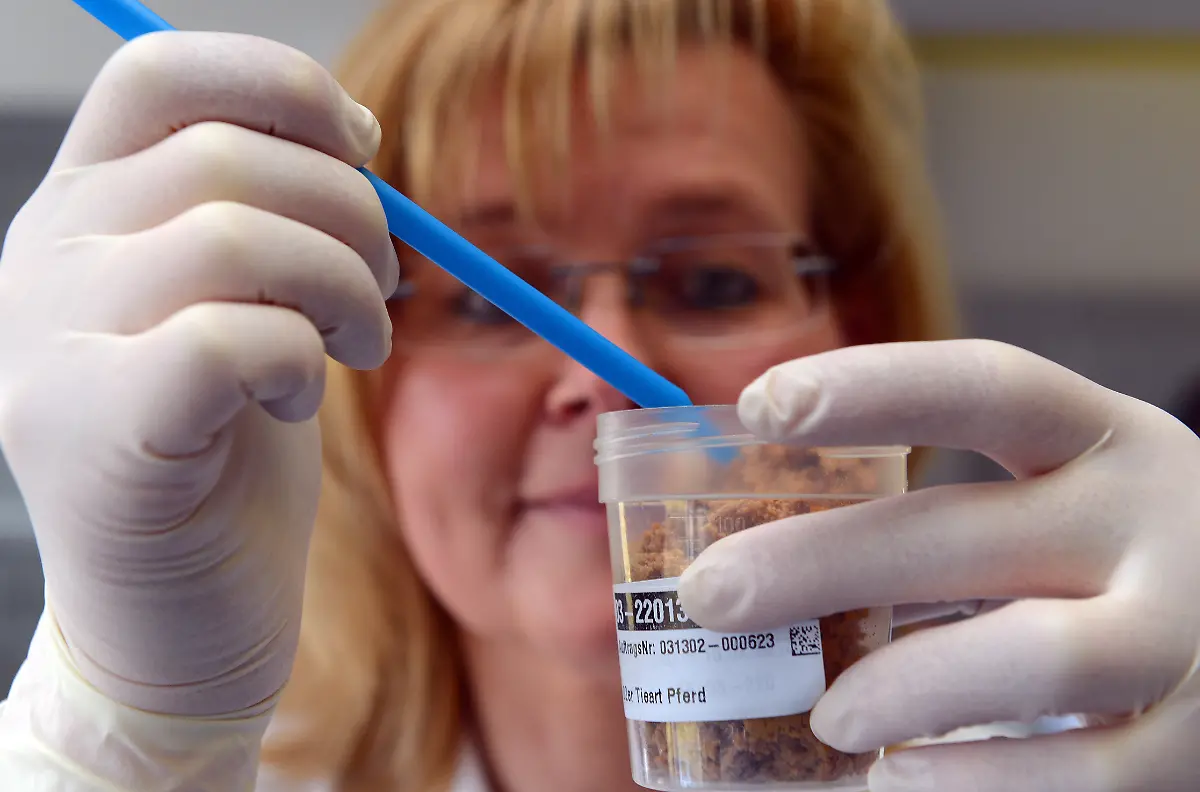 DI30053-20130215-jpg599174471580304390