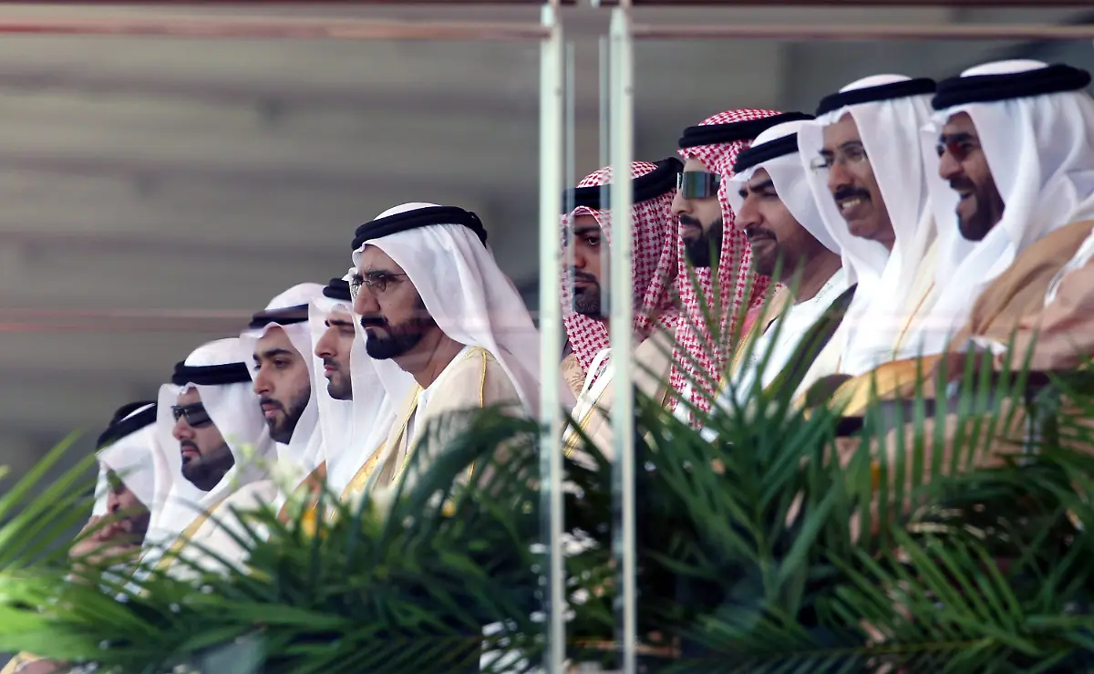 39zq2641-jpg3506733067698963149