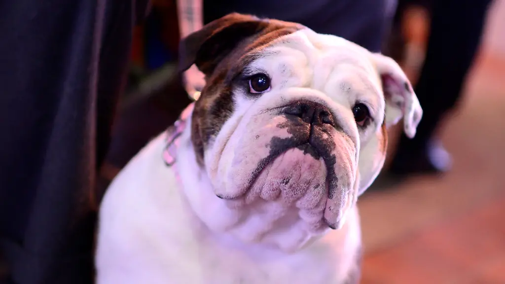 DI20047-20130212-jpg8719215275788291482