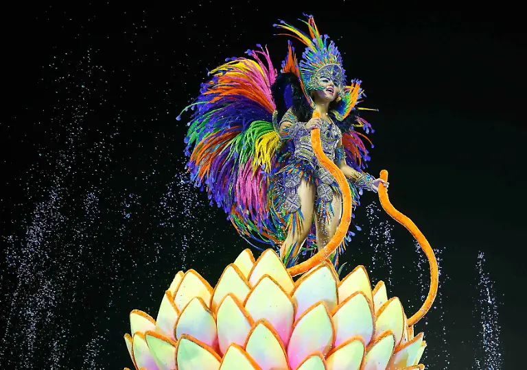 2013-02-11T080212Z-01-RIO729-RTRMDNP-3-BRAZIL-CARNIVAL-JPG1303521071540740358