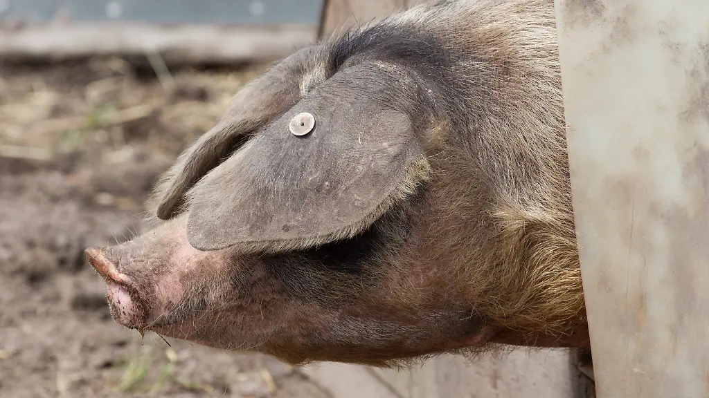 DI10068-20130206-jpg6419397814095954432