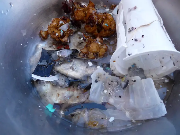 Indian-Ocean-algalita