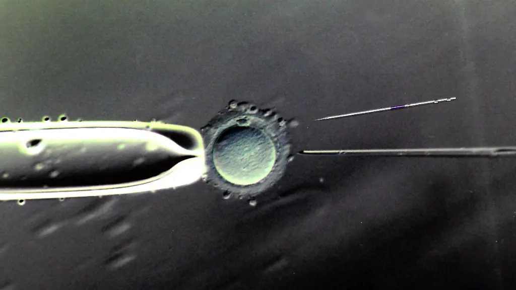 39rs1621-jpg1832032844085758351