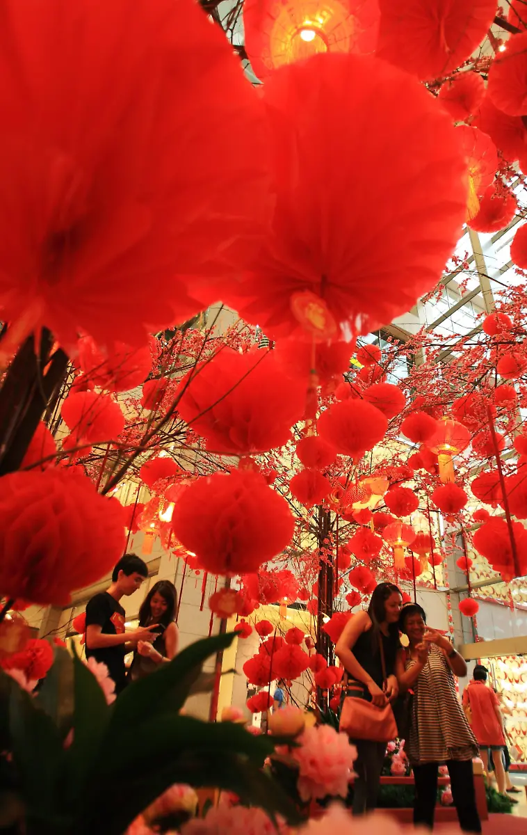 39sa2443-jpg7928650635850260858