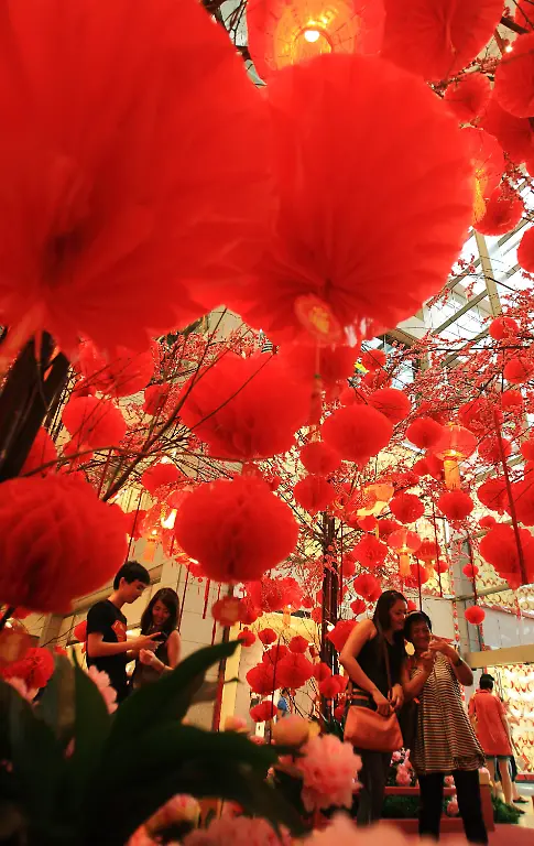 39sa2443-jpg7928650635850260858