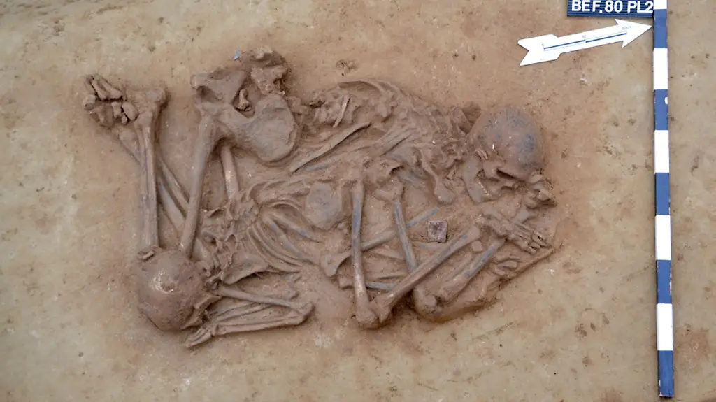 39rr4755-jpg4680240238823467730