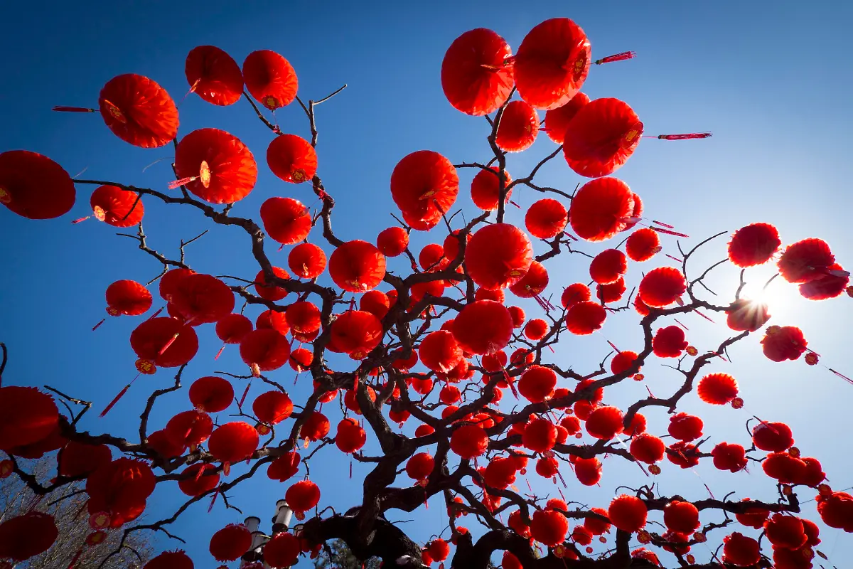 39qw0833-jpg4542350604306742811