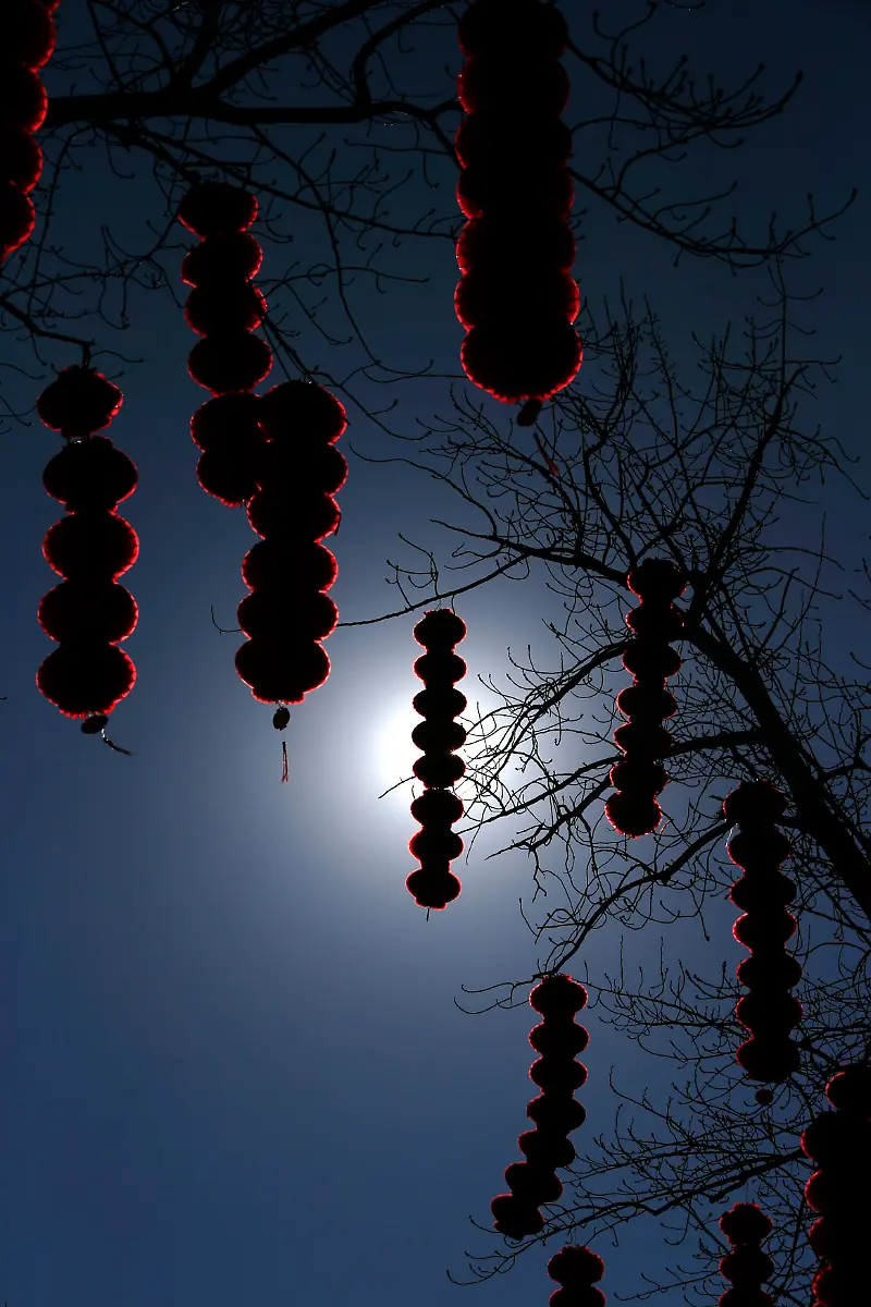 2013-02-04T092736Z-01-PEK301-RTRMDNP-3-CHINA-JPG7145389684564070465