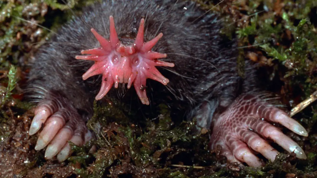 39nk0008-jpg1754782284866644981