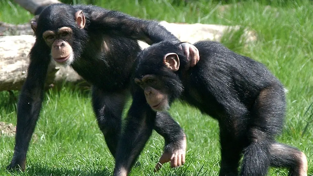 39ia0756-jpg8381827427697606299