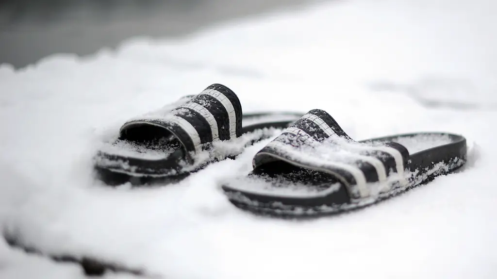 39ez2526-jpg5670638938679322421