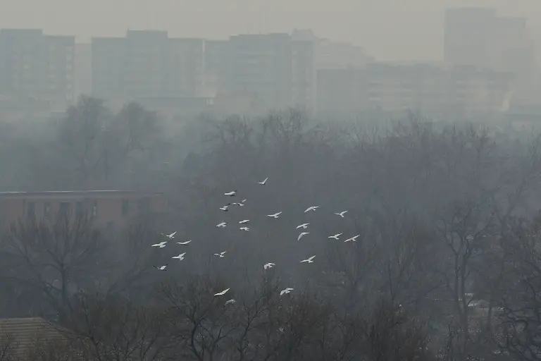 DAB0595-20130115-jpg2052332321639074802