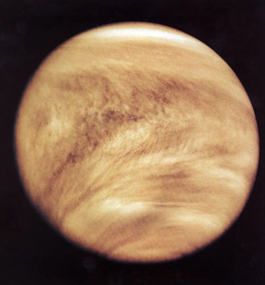 Venus2
