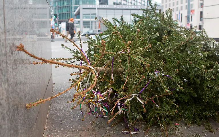 DI30214-20130113-jpg7805850029734021565