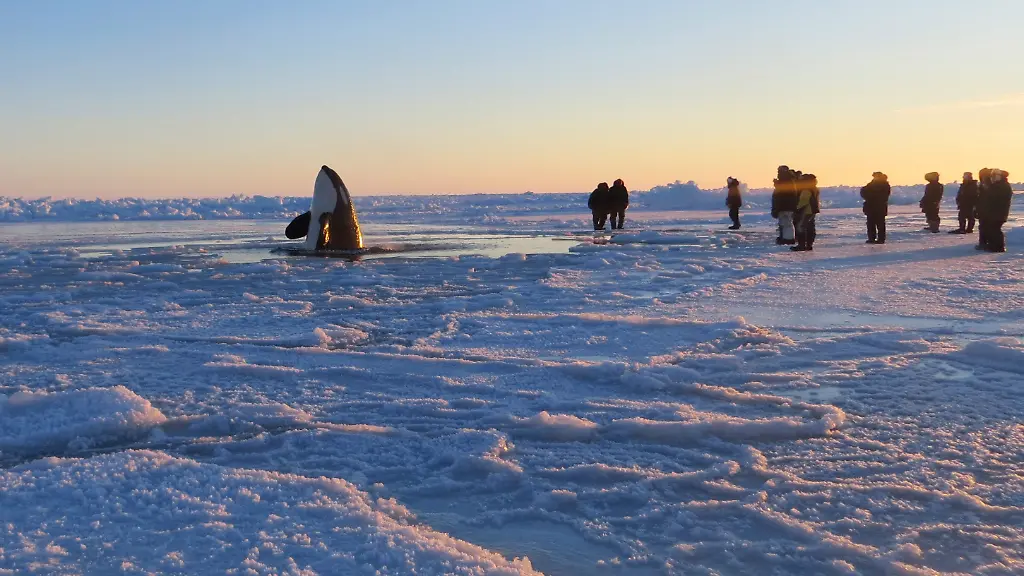 DAB0144-20130110-jpg5284697719192143960