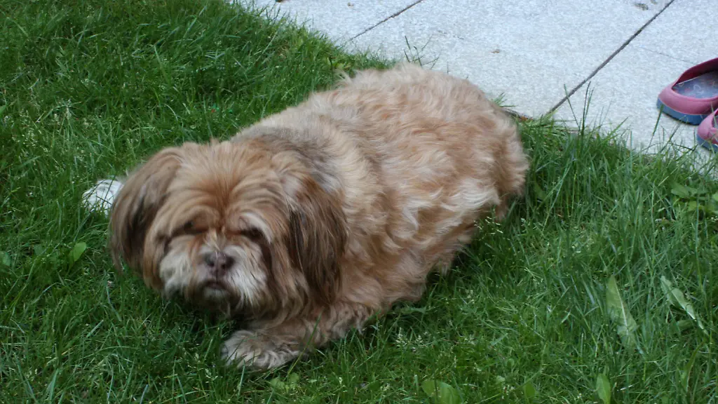 399q3818-jpg8677457849381517054