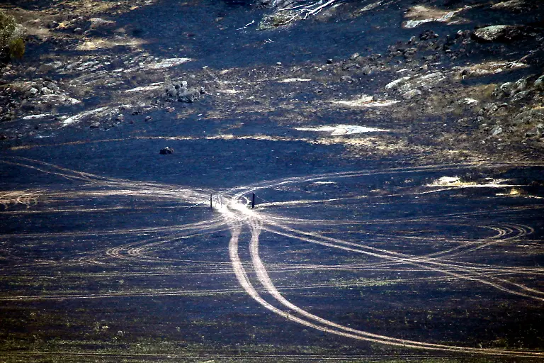 398t1041-jpg2178786831264067078