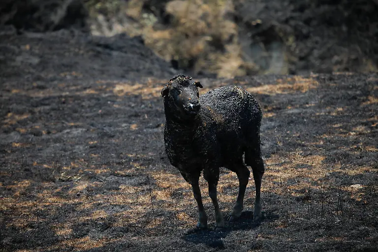 399i2351-jpg1648868258800169006