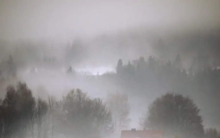 winter