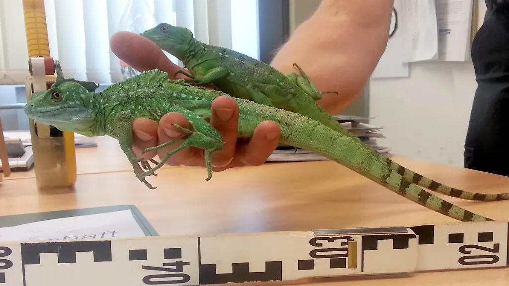 390d1101-jpg3927659970558487396