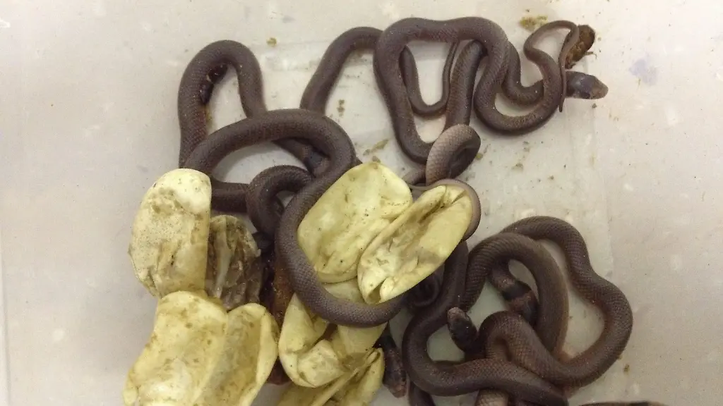 38w53639-jpg8501291582077100735