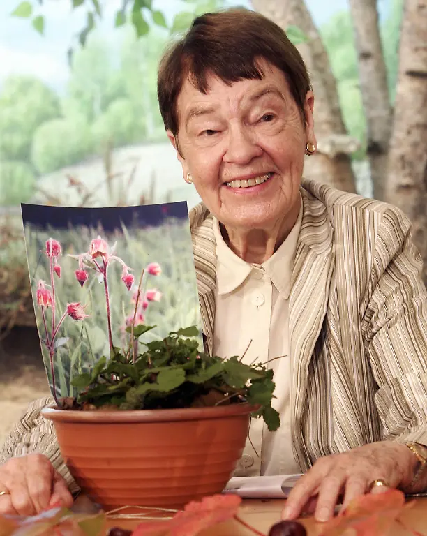 Schmidt-Loki-Pflanze