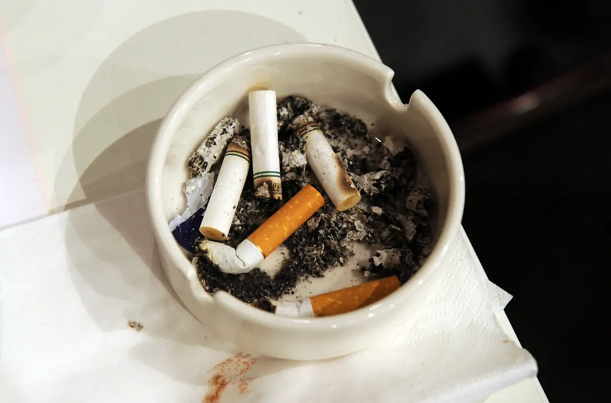 38p40921-jpg7365719060487796929