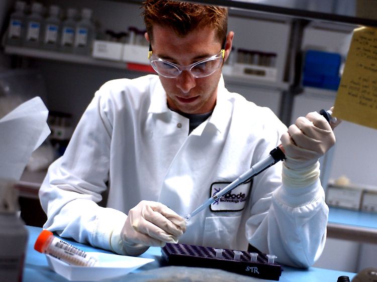 Unabhängig vom Geschlecht hat die Mehrheit der Studie naturwissenschaftlichen Begriffe eher mit dem männlichen Geschlecht in Verbindung gebracht.