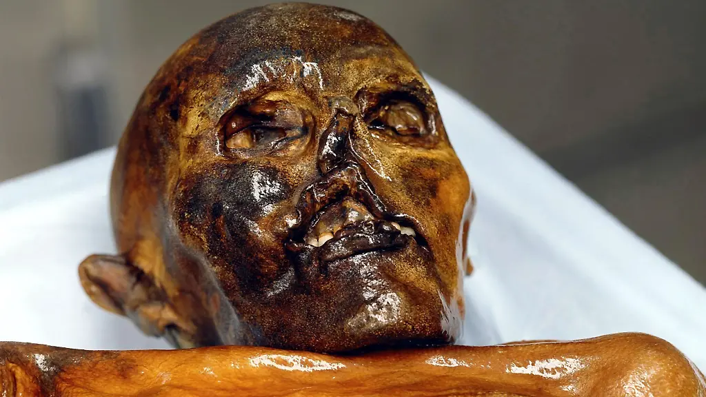 38qz0122-jpg2332440231214338629