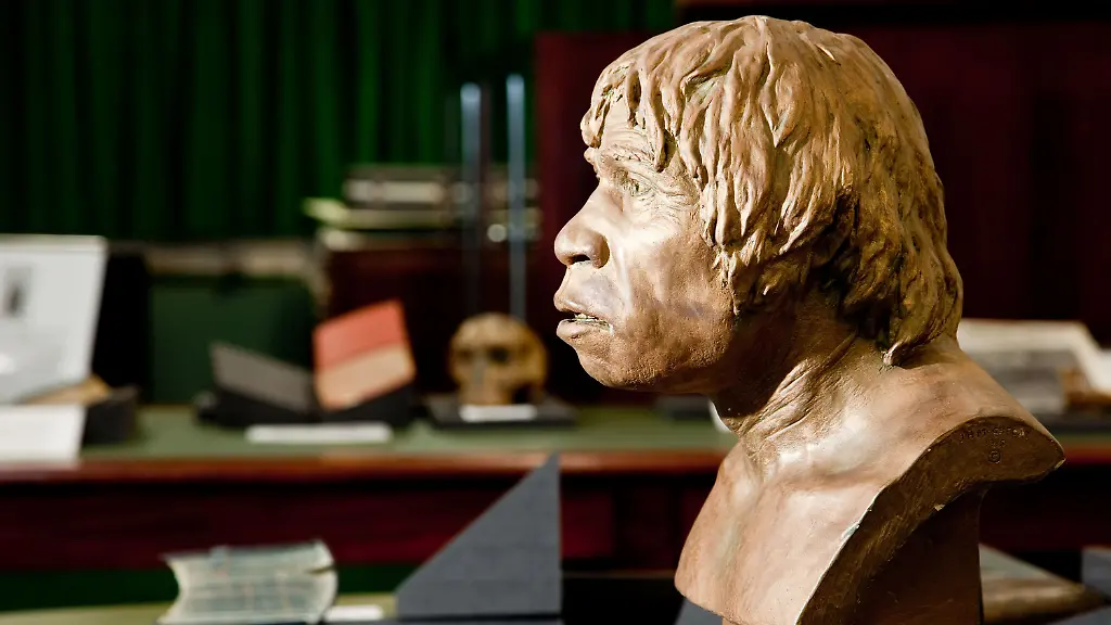 38qx0008-jpg1352122854464098911