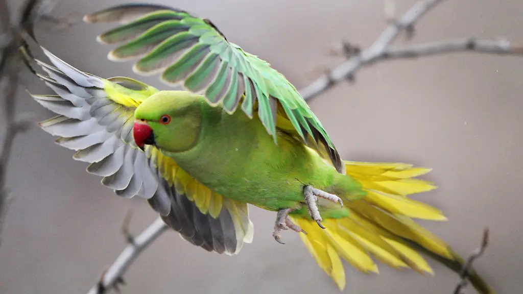 38pn4104-jpg31844949594548773