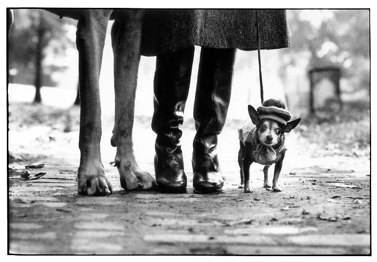Erwitt-4-full
