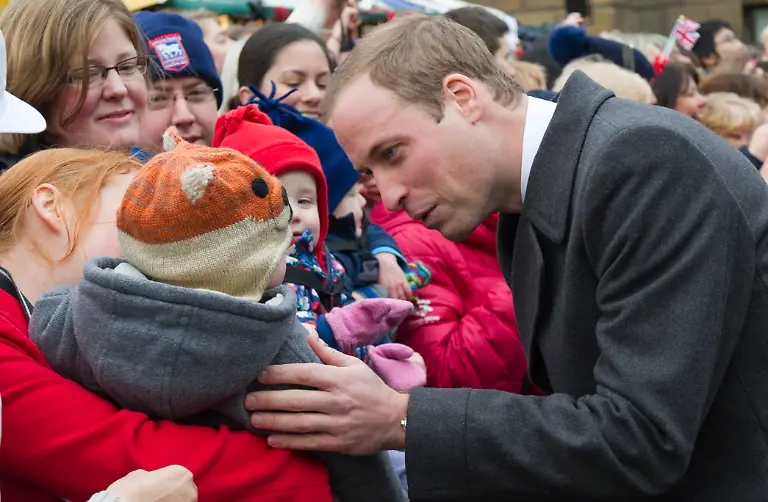 DAB1847-20121203-jpg3230725435894553499