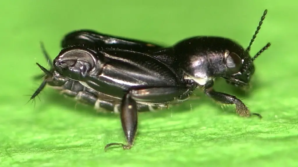 DI10292-20121203-jpg8006915361583204068