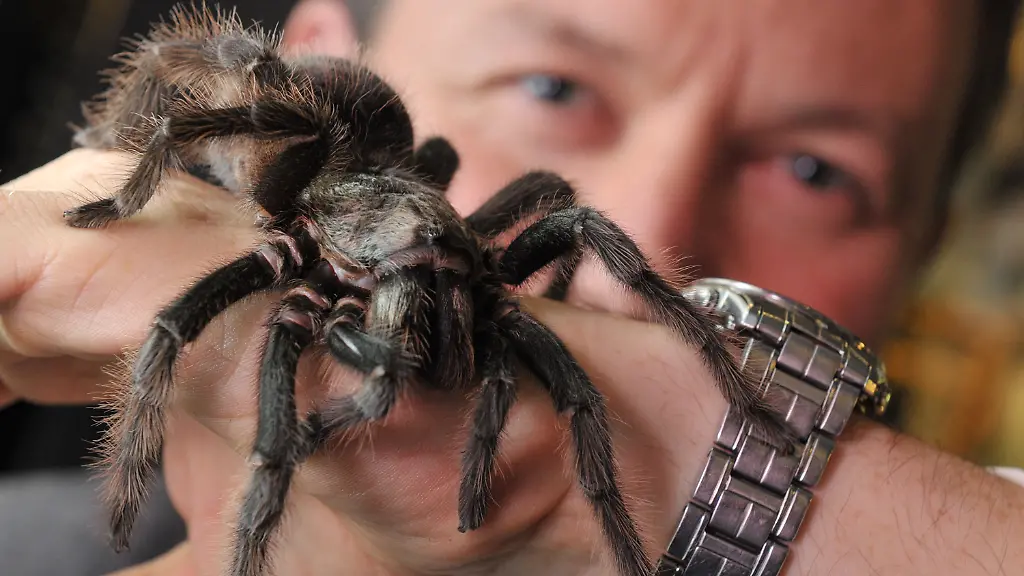 38kt0025-jpg6152868846899082905