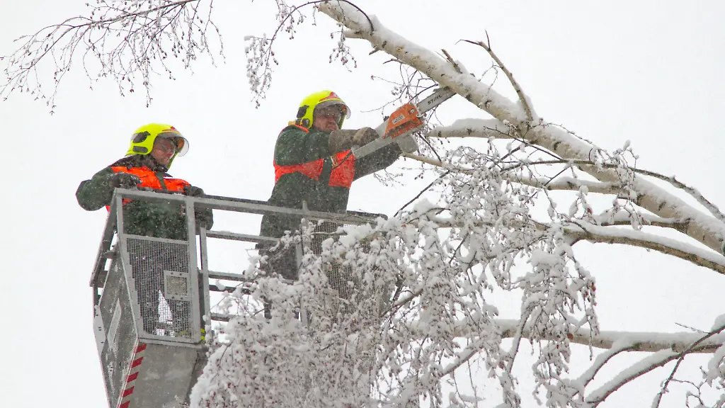 38hr0702-jpg4229198116293308196