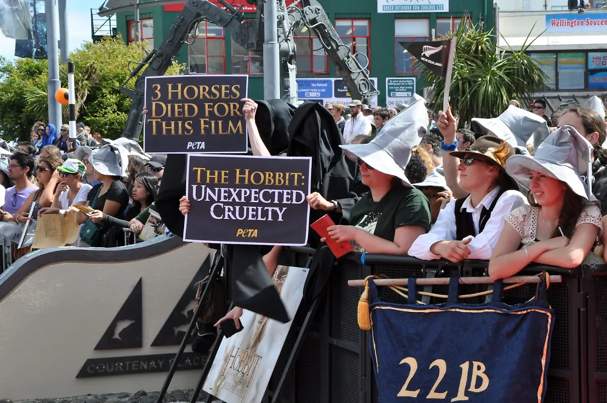 38gt4159-jpg5459151268895930412