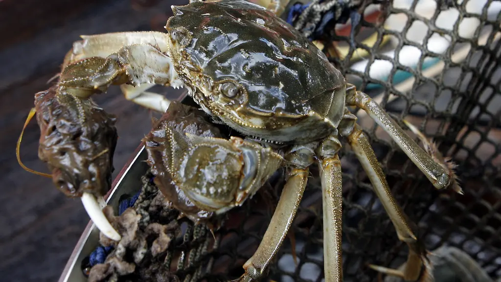 38d12144-jpg2896773906755972391