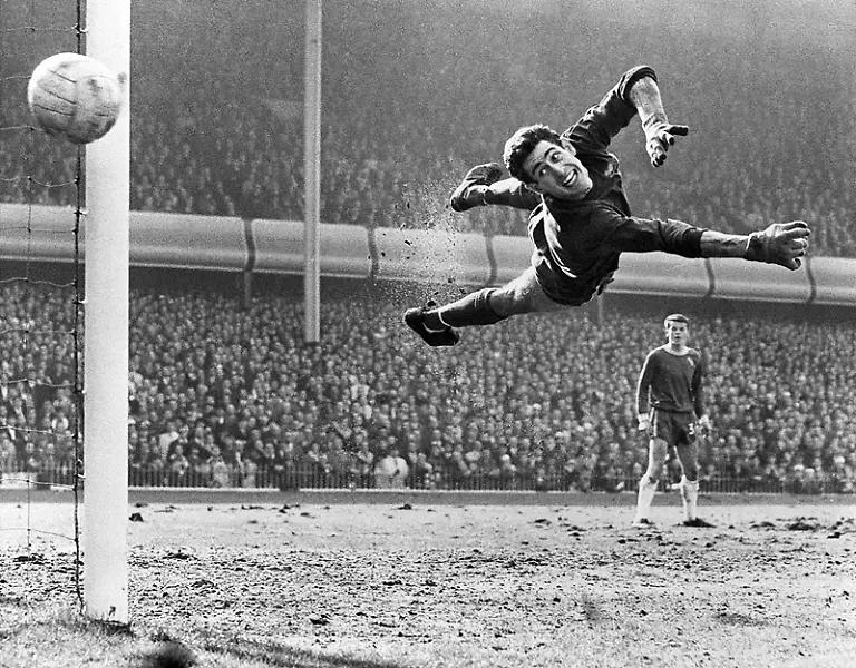 Foto-Picture-Alliance