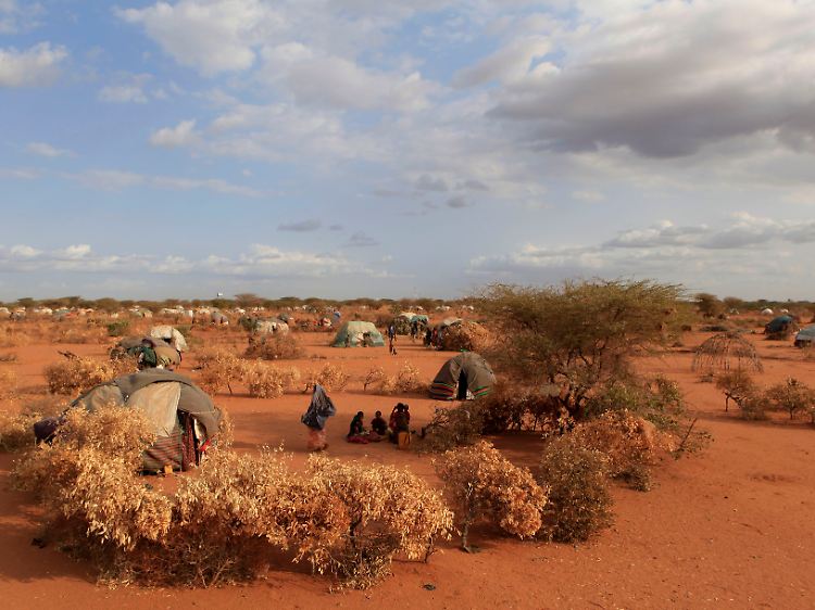 Afrika leidet unter der "schlimmsten humanitären Katastrophe" der Welt, so UNHCR-Chef Guterres.